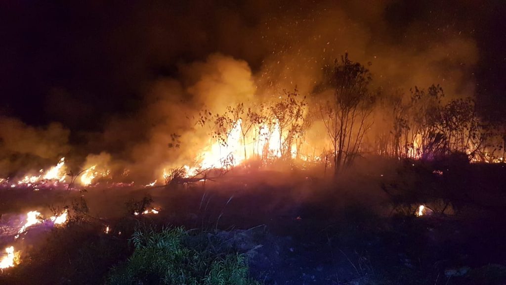 Grande incêndio ambiental mobiliza Bombeiros ao Loteamento Verona