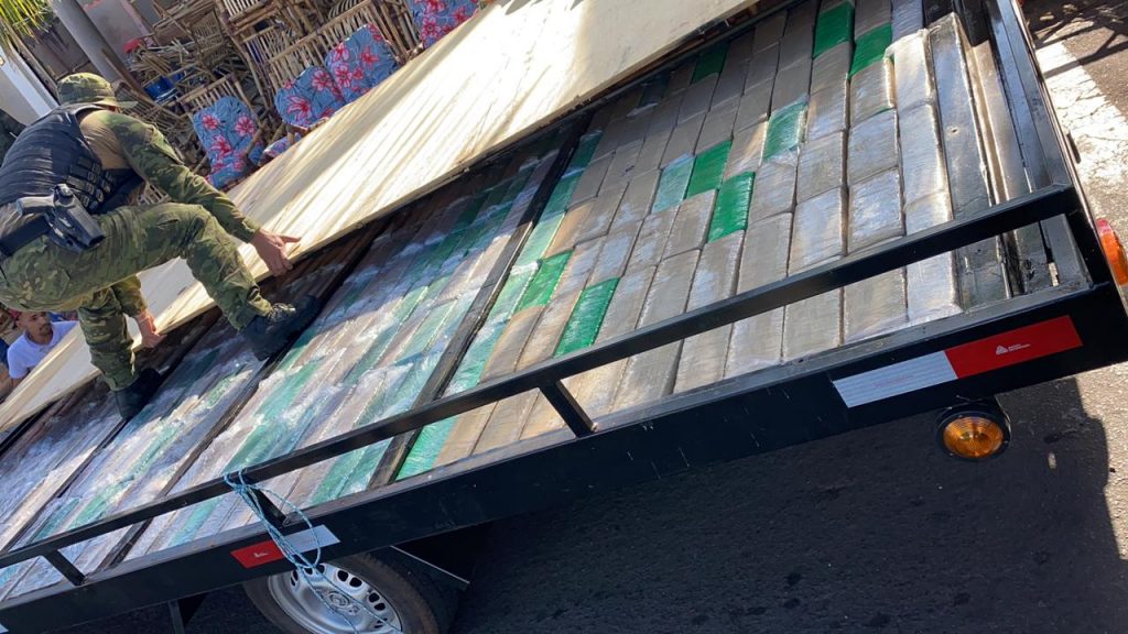 BPFron e BPAmb apreendem 245 kg de maconha durante a Operação Hórus, em Umuarama