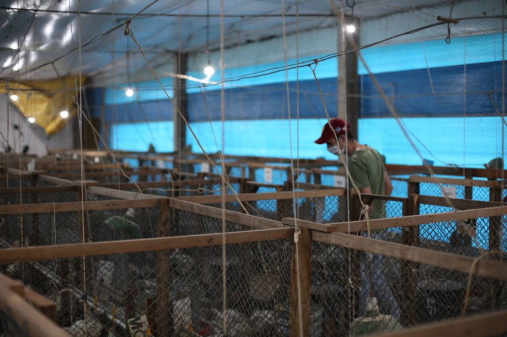 Estações experimentais da Unioeste permitem a prática do agronegócio