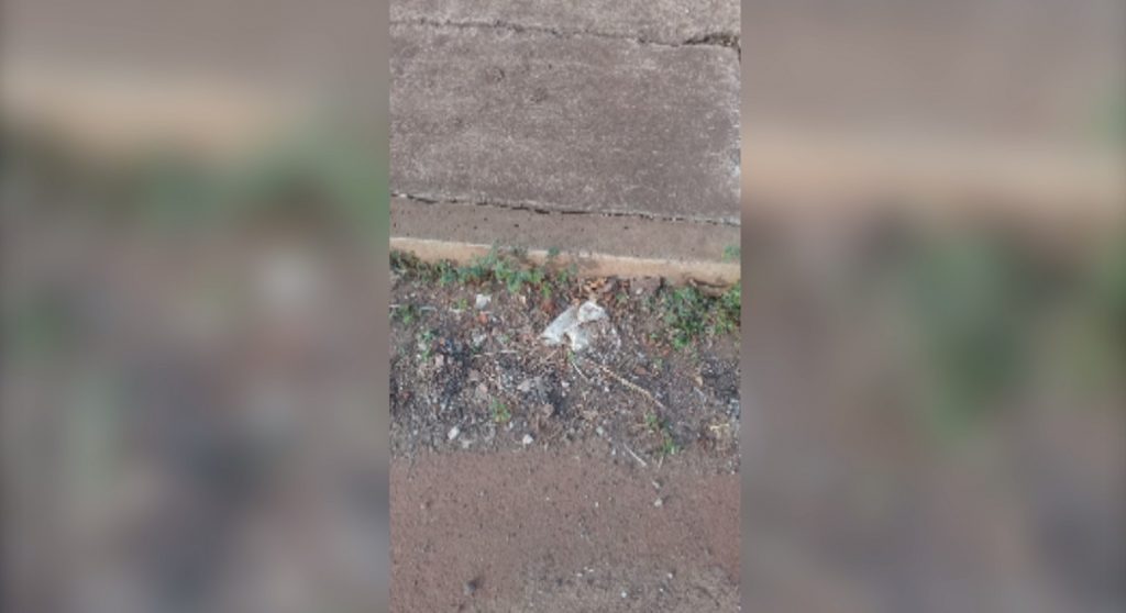 Moradora reclama de bueiro entupido na Rua Suyas, Bairro Santa Cruz Moradora reclama de bueiro entupido na Rua Suyas, Bairro Santa Cruz