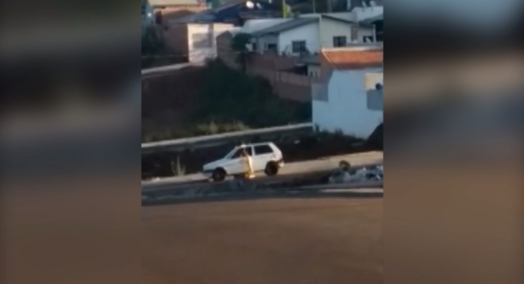 Vídeo mostra cachorrinha sendo supostamente abandonada no Jardim Montreal