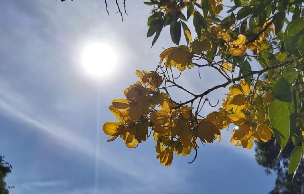 Com elevação na temperatura, Cascavel poderá apresentar 30º C nesta terça-feira