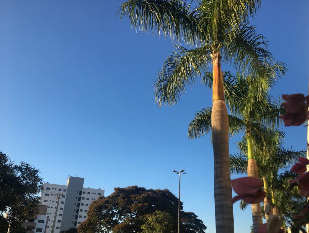 Temperatura em Cascavel deverá atingir 30º C com dia ensolarado, nesta quarta-feira