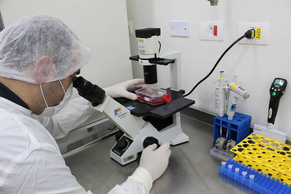 União Europeia credencia o Tecpar para oferecer exame sorológico antirrábico