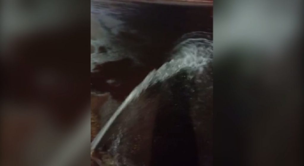 Internauta registra vazamento de água em rua no Bairro Santos Dumont; há relatos de falta de água em parte do bairro