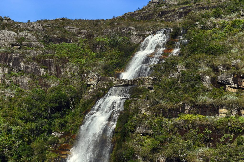 Programas e ações de conservação e restauração garantem a biodiversidade do Paraná
