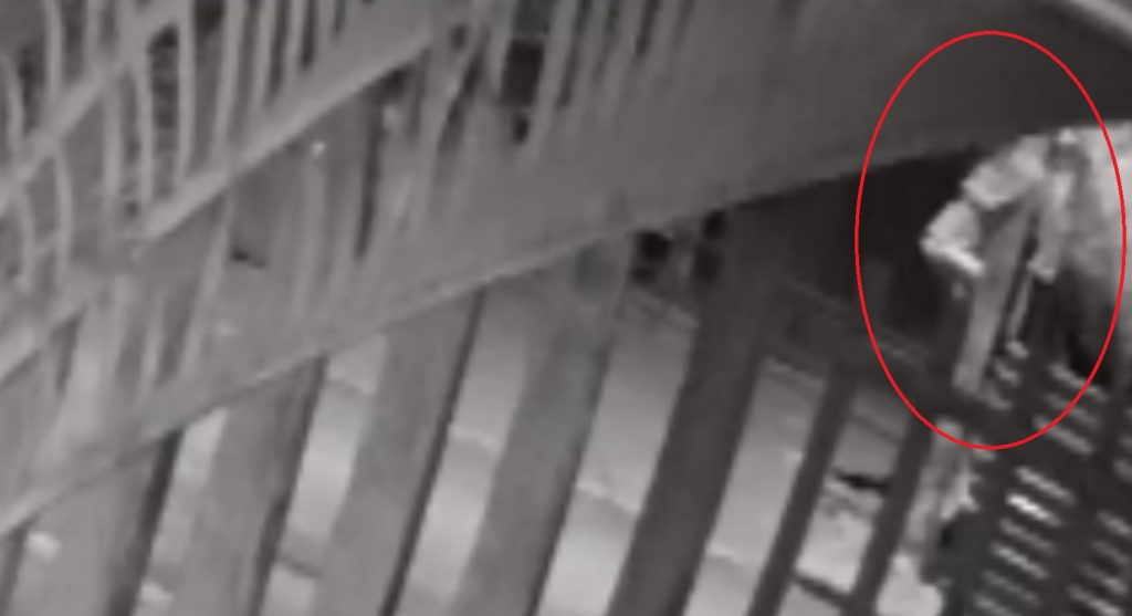 Tentativa de furto de cabos: Câmera mostra homens ‘escalando’ poste; Ação foi frustrada pela GCP
