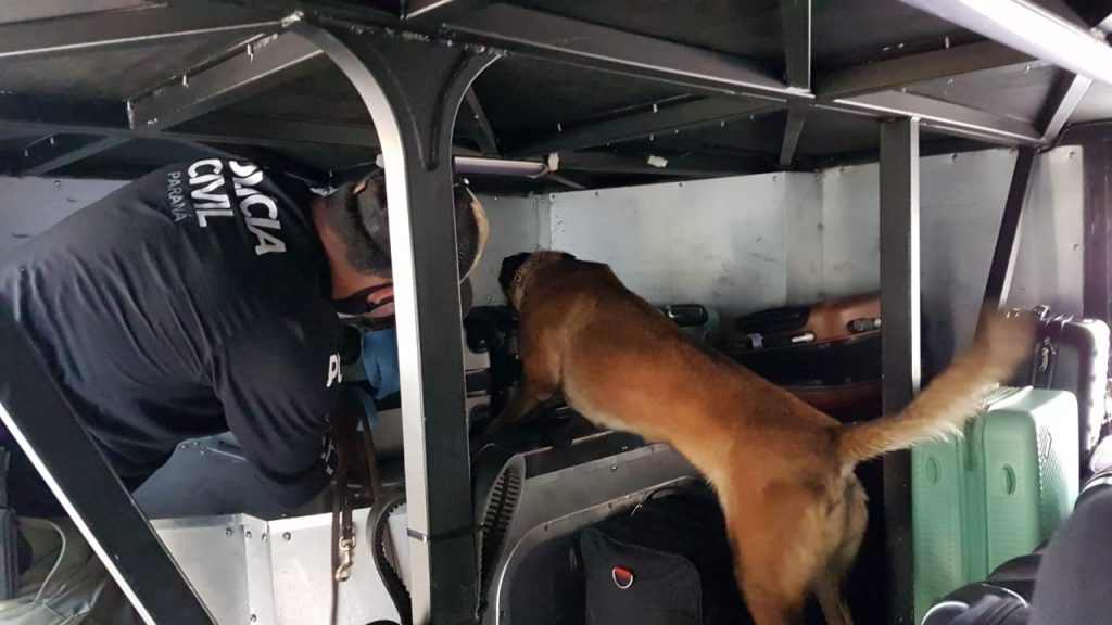 Com apoio de cão farejador, Denarc realiza fiscalização na Rodoviária de Cascavel e apreende drogas