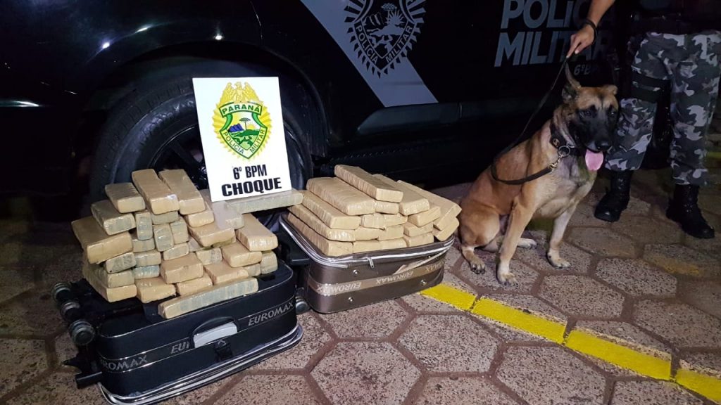 Choque detém mulher e adolescente com malas cheias de maconha na rodoviária de Cascavel