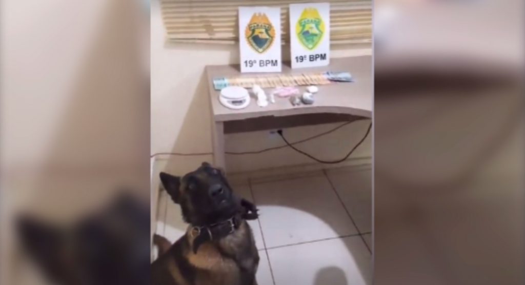 Polícia Militar prende duas pessoas por tráfico de drogas em Toledo