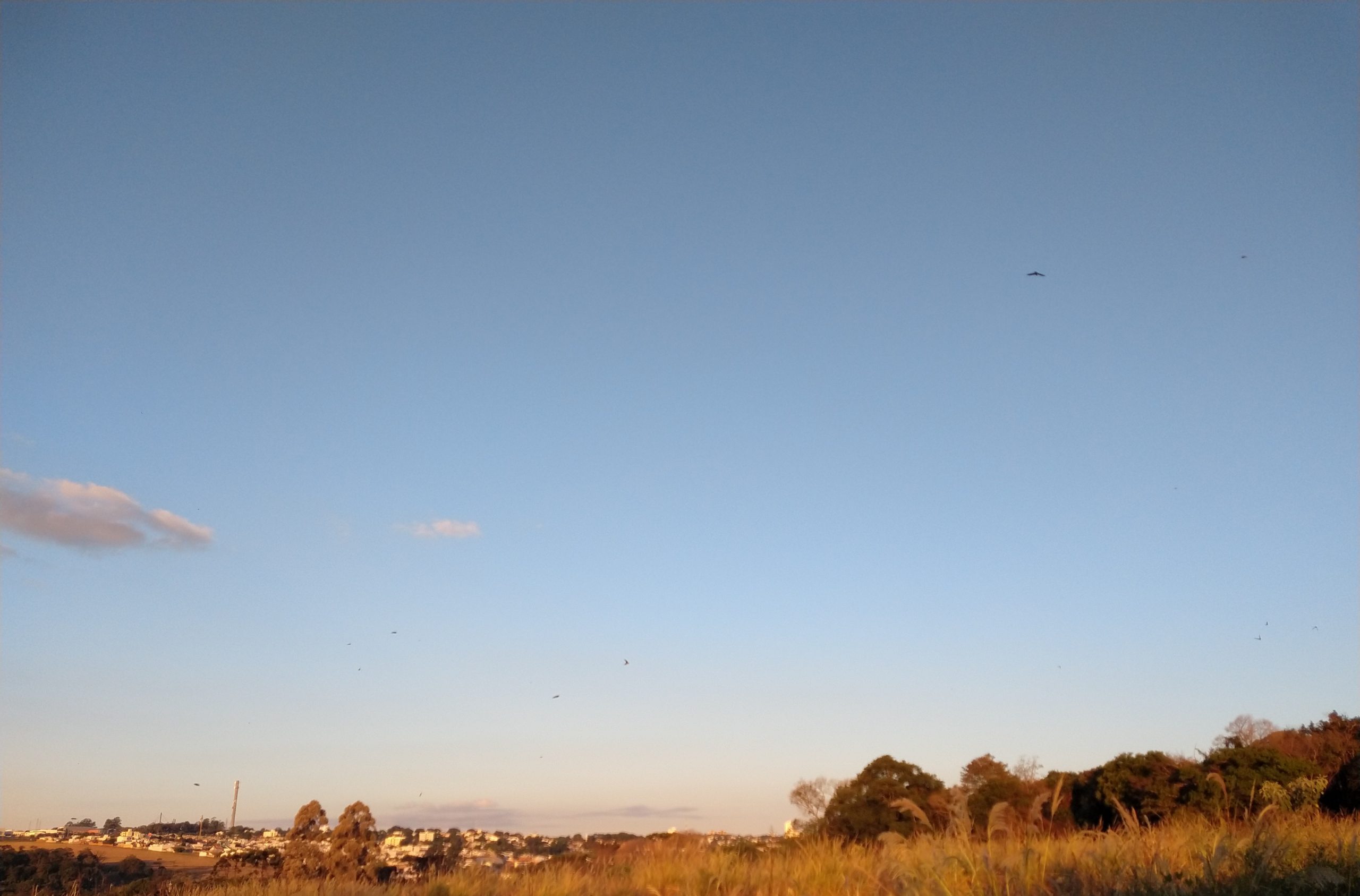 Previsão do tempo: temperaturas despencam e cheiro de naftalina toma conta de Cascavel