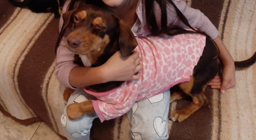 Cachorrinha sumiu na região do Bairro Maria Luíza
