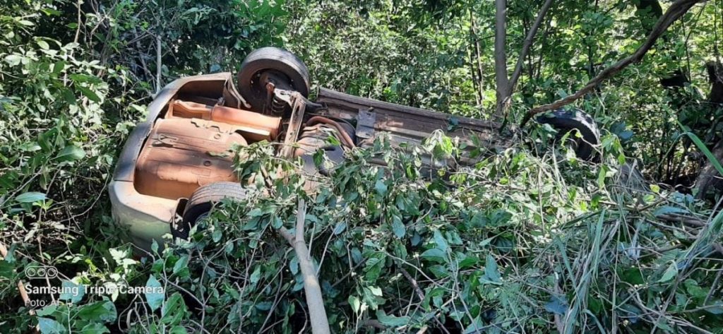 Capotamento deixa condutora de HB20 ferida na BR-369, em Bandeirantes; no carro também havia seis cães