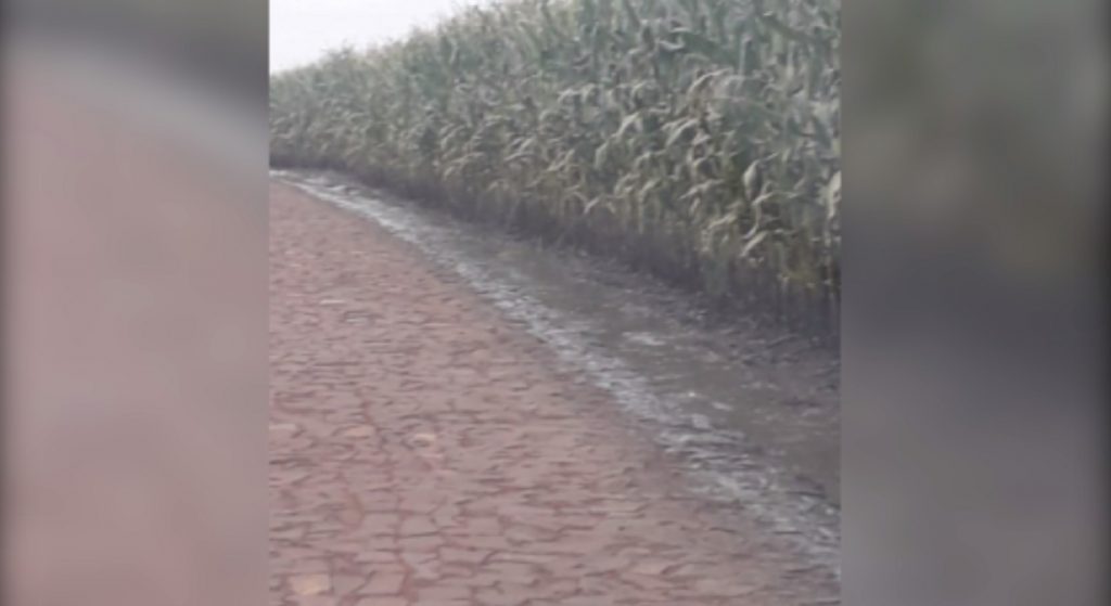 Moradores da Comunidade Nova União reclamam de esterco jogado em calçamento novo na área rural