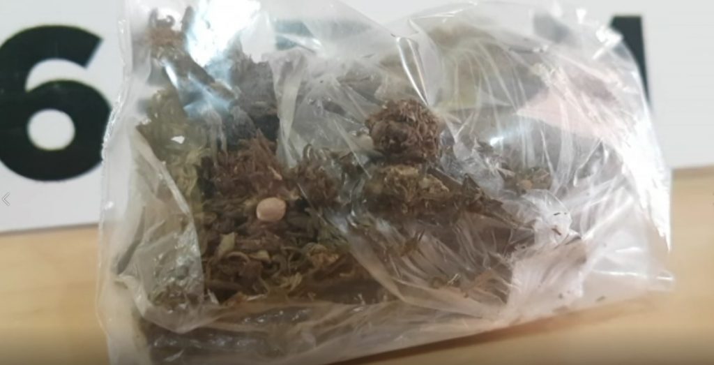 Maconha é encontrada em arbusto em frente ao Fórum e PM é acionada