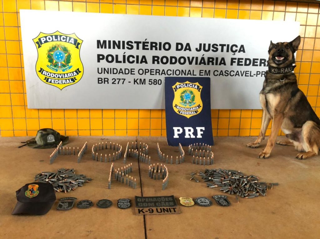 Com apoio do cão ‘Raio’, forças de segurança apreendem 480 munições após abordarem ônibus em Cascavel