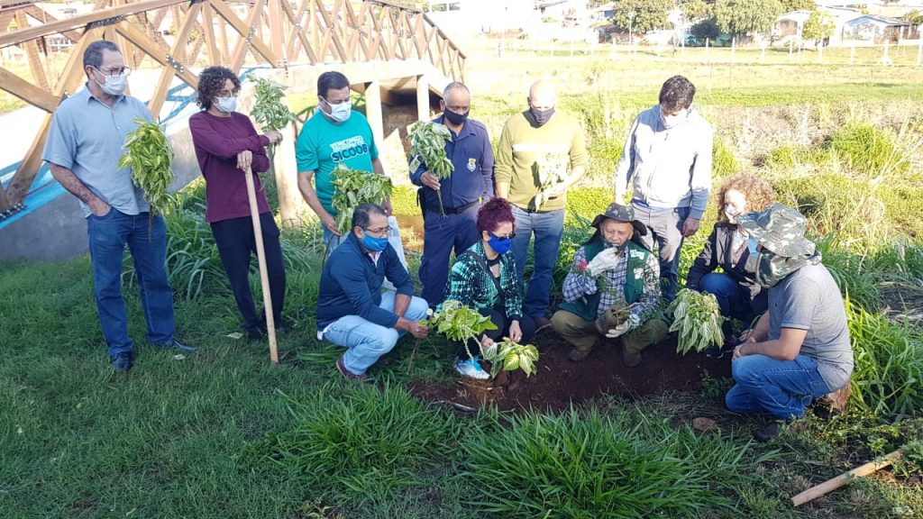 Grupo Amigos dos Rios realiza plantio simbólico na Horta Municipal de Cascavel