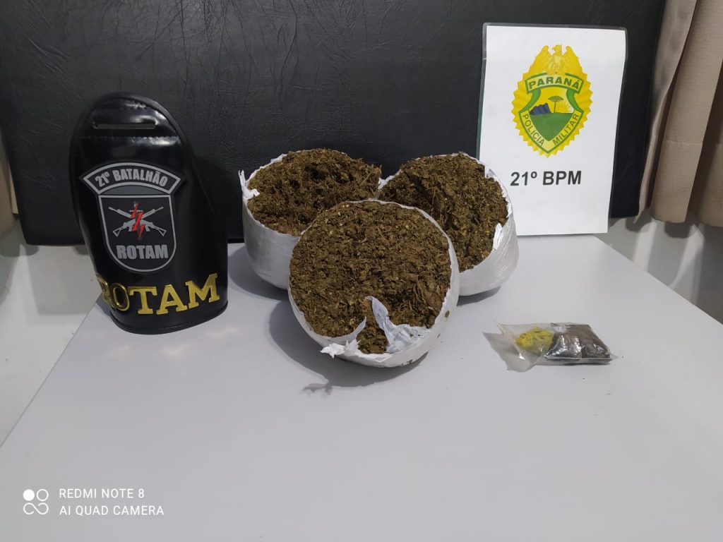 Após nova denúncia, PM apreende grande quantidade de droga em galinheiro em Francisco Beltrão