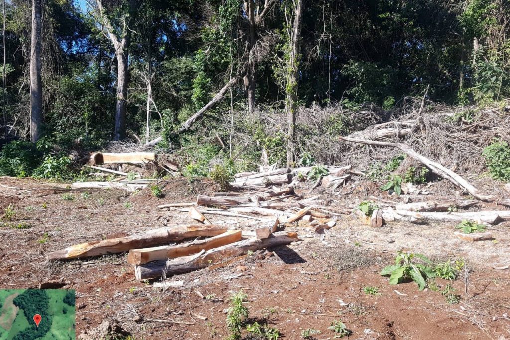 Força-tarefa aplica multas que somam R$ 1 milhão a desmatadores no Centro-Sul