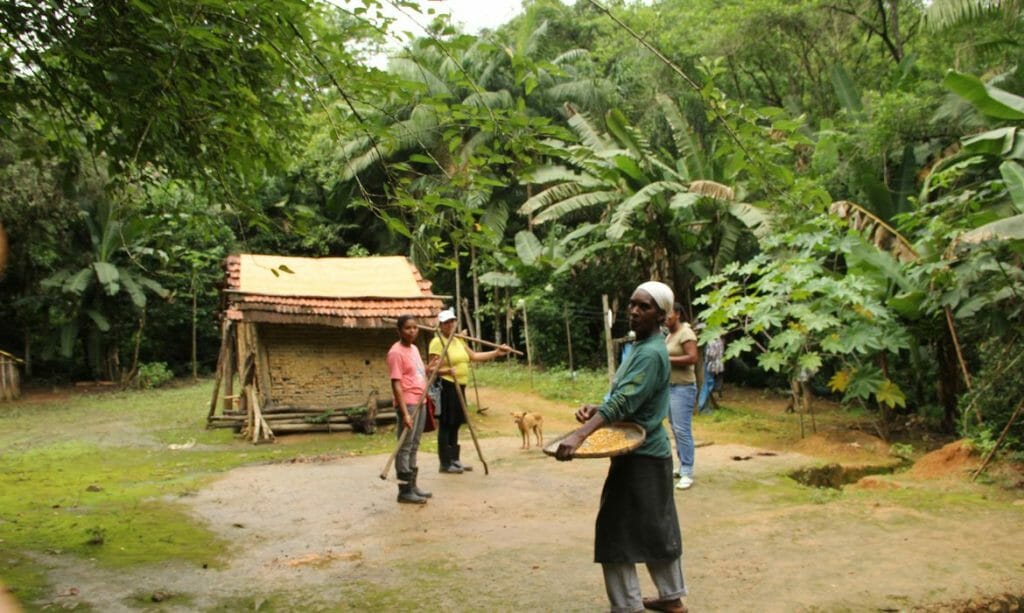 Aplicativo mapeia 5,3 mil famílias em territórios tradicionais
