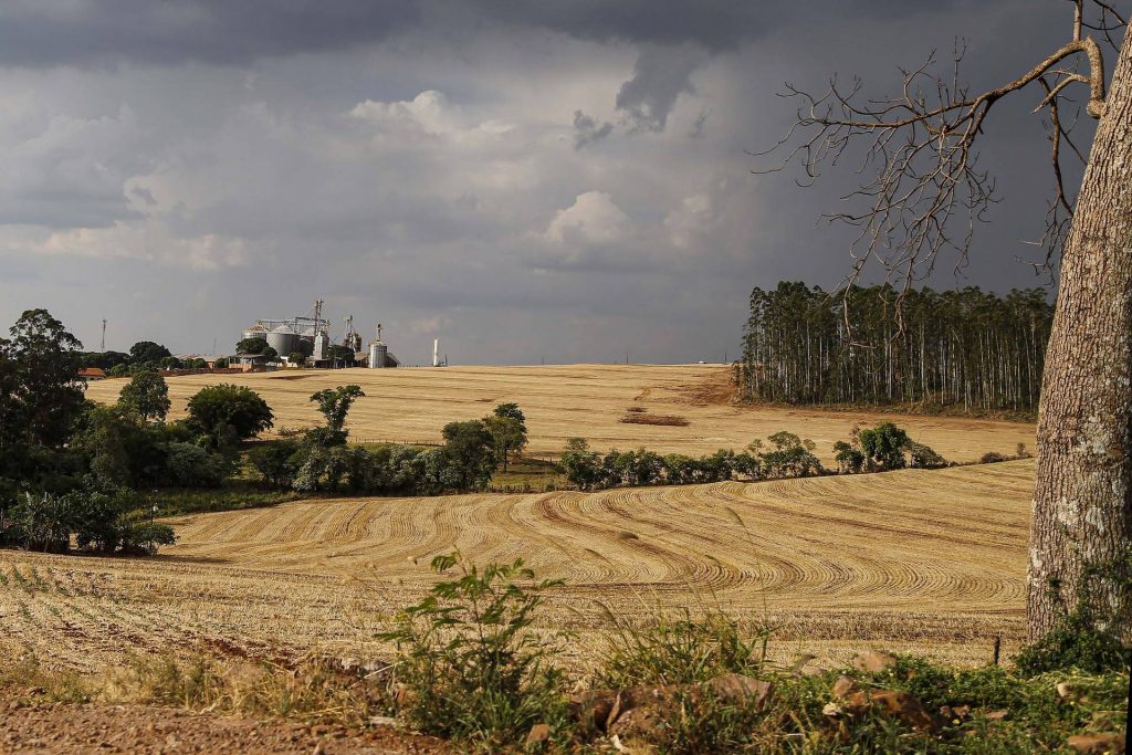 Unioeste prorroga até domingo inscrição para residência técnica e curso de Economia Rural