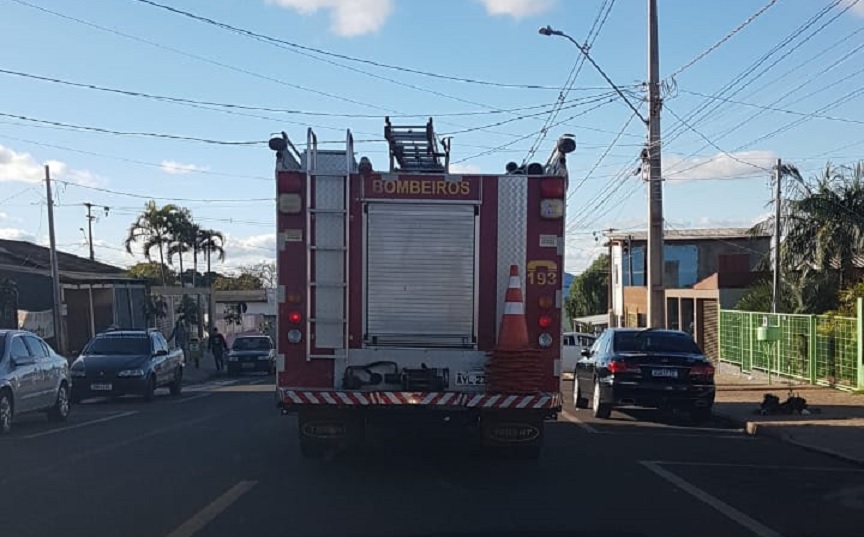 Bombeiros são mobilizados para capturar pitbull que escapou de casa e acesso o pátio do vizinho no Santo Onofre