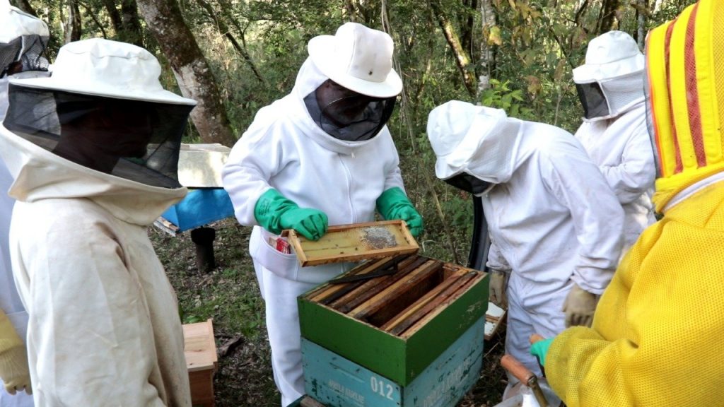 Defesa Civil concluí capacitação de apicultura na Agrotec