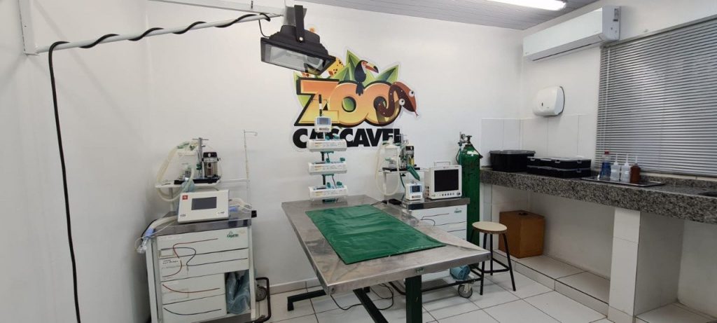Animais do zoo têm tratamento de qualidade em ambulatório