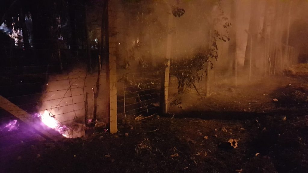 Área de vegetação é consumida pelo fogo no Bairro Pacaembu