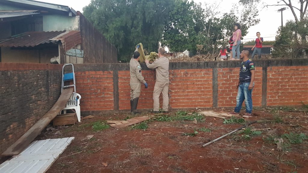 Bombeiros são mobilizados para ‘resgatar’ cães em terreno baldio no Bairro Brasília