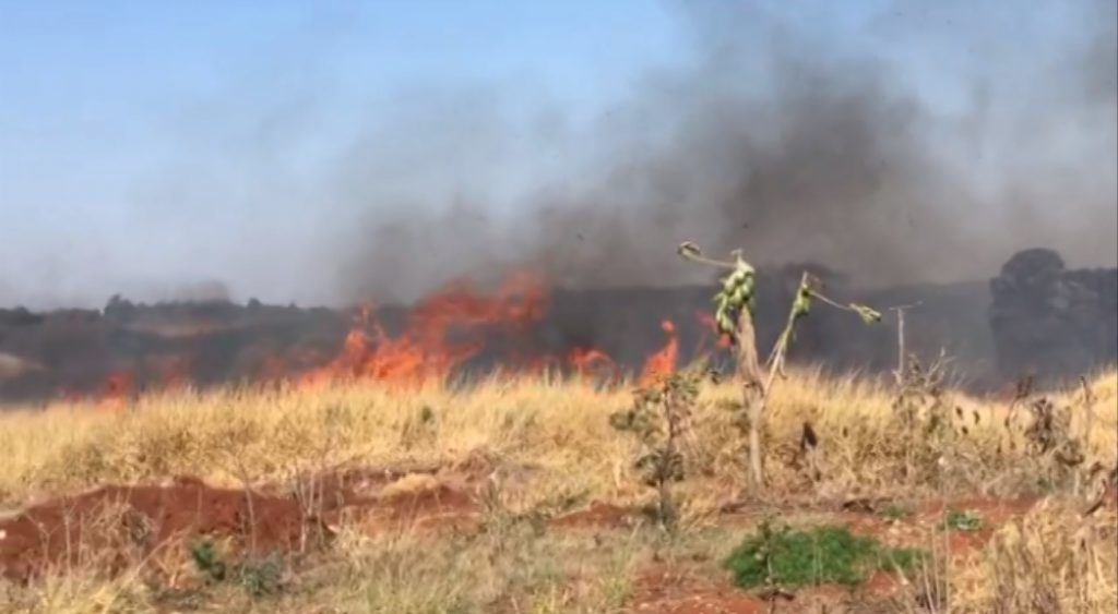 Grande incêndio ambiental é registrado por morador do Jardim Montreal; Bombeiros foram mobilizados