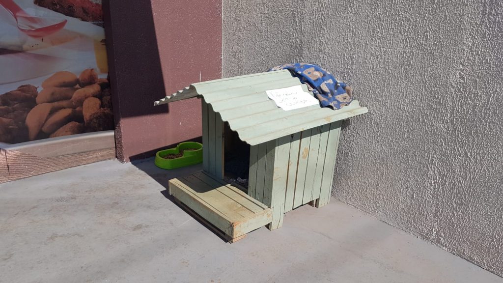 Cachorro ganha casa nova na vizinha após dono recusa-lo depois de tratamento de saúde