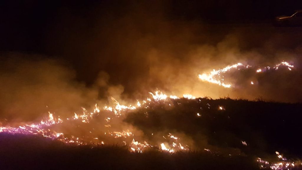 Área de vegetação rasteira é consumida pelo fogo no Bairro Brasília