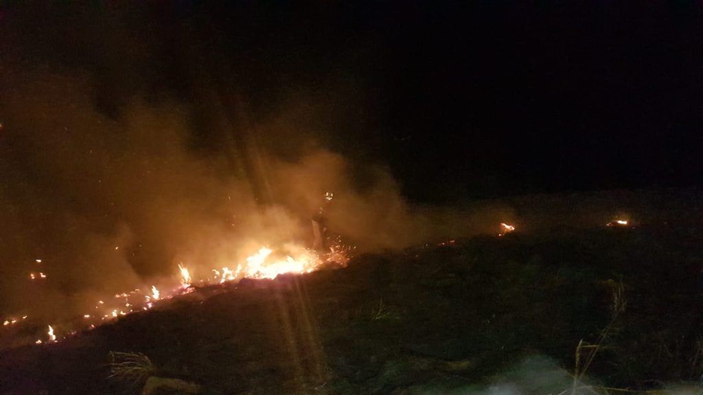 Bombeiros combatem incêndio em vegetação na Rua Londrina, na região central