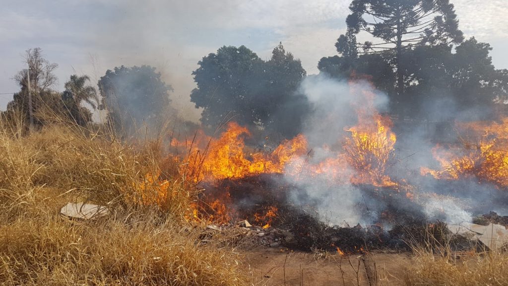 Área de vegetação é consumida pelo fogo no Bairro Presidente; Corpo de Bombeiros foi chamado