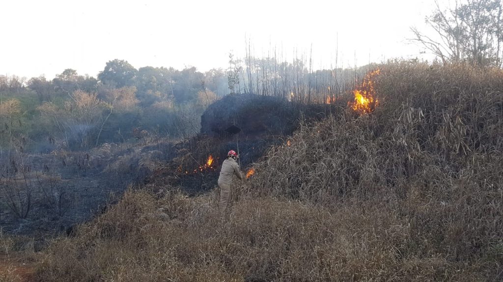 Área de mata pega fogo e Bombeiros são mobilizados ao Guarujá