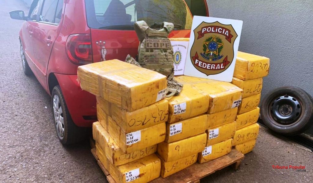 PF, PC e Exército apreendem mais de 463 kg de maconha em Santa Helena