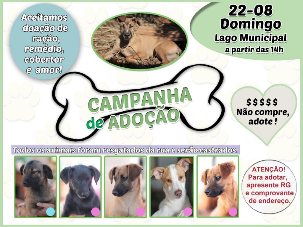 Feira de adoção de animais será realizada no domingo (22) no Lago Municipal Feira de adoção de animais será realizada no domingo (22) no Lago Municipal