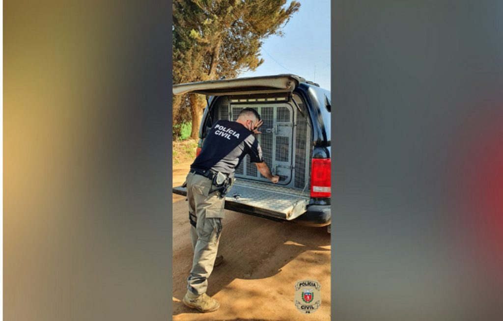 Homem é preso pelo crime de estupro de vulnerável em Ponta Grossa Homem é preso pelo crime de estupro de vulnerável em Ponta Grossa