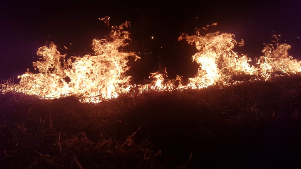 Incêndio atinge extensa área de vegetação no Bairro Fag; Bombeiros foram mobilizados