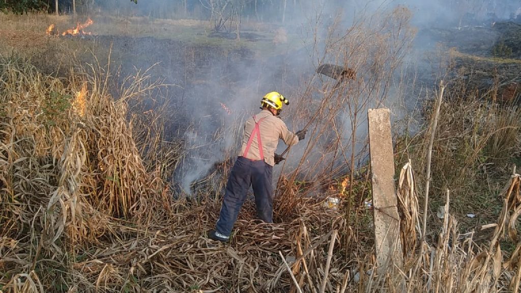 Corpo de Bombeiros combate incêndio em vegetação no Jardim Colmeia