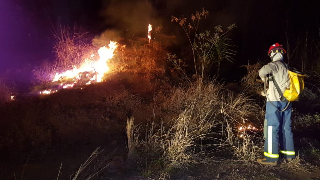 Incêndio em vegetação no Turisparque mobiliza equipe do Corpo de Bombeiros