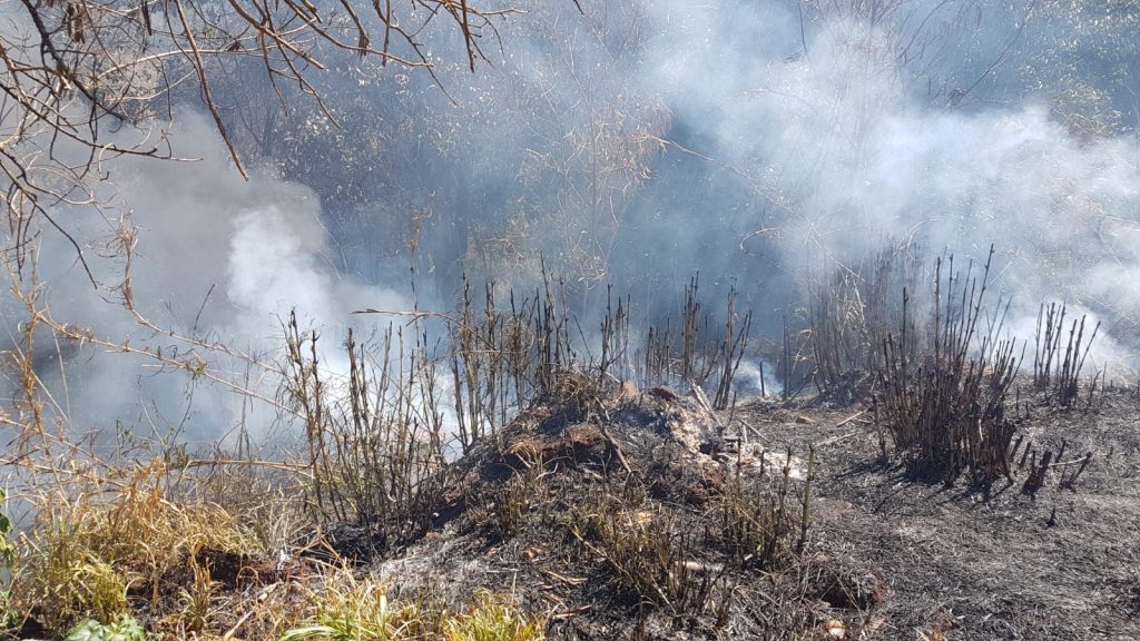 Incêndio em vegetação mobiliza Corpo de Bombeiros ao Cascavel Velho