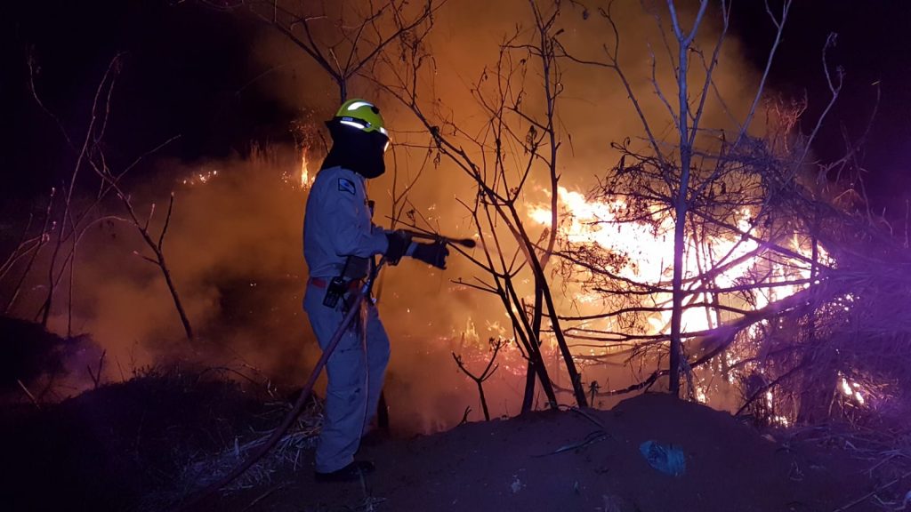 Matagal é tomado pelo fogo no Bairro Esmeralda e Corpo de Bombeiros é mobilizado