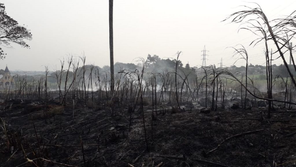 Área de vegetação é consumida pelo fogo no Bairro Country