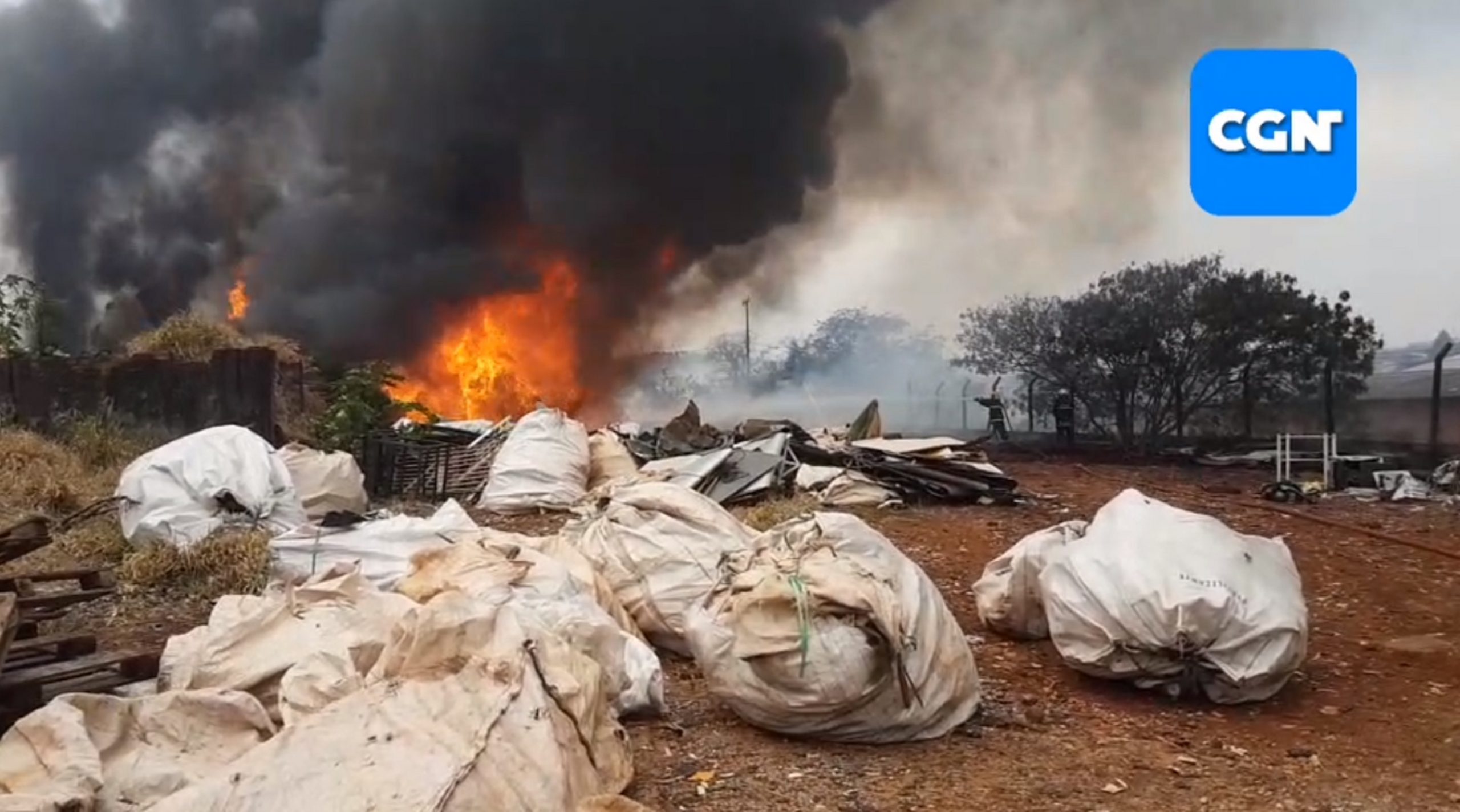 Grande incêndio é registrado às margens da BR-277 e grande quantidade de fumaça assusta moradores