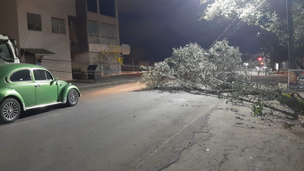 Galho de árvore e poste caem e interditam trecho da Rua Nereu Ramos, no Centro