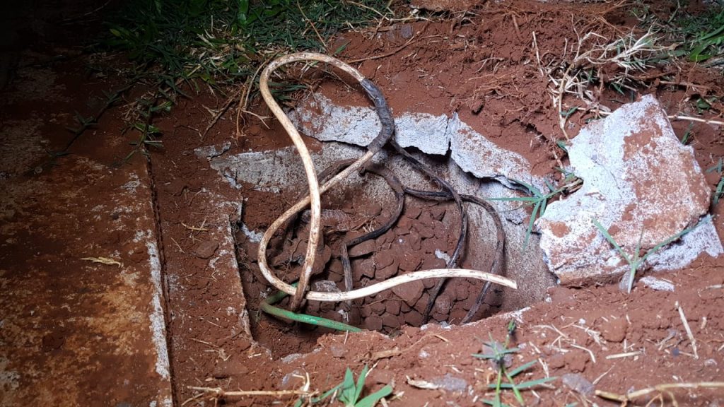 Falta de luz no Ecopark Oeste: Moradores suspeitam de furto na fiação