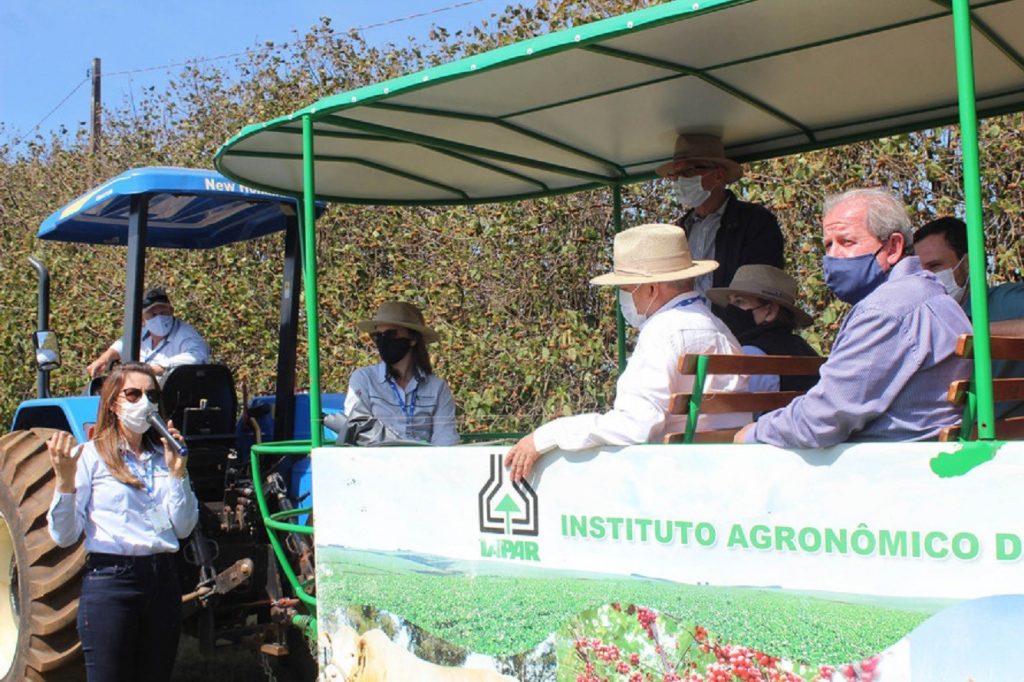 IDR-Paraná inaugura viveiro em Santa Tereza do Oeste para melhorar produção de uva