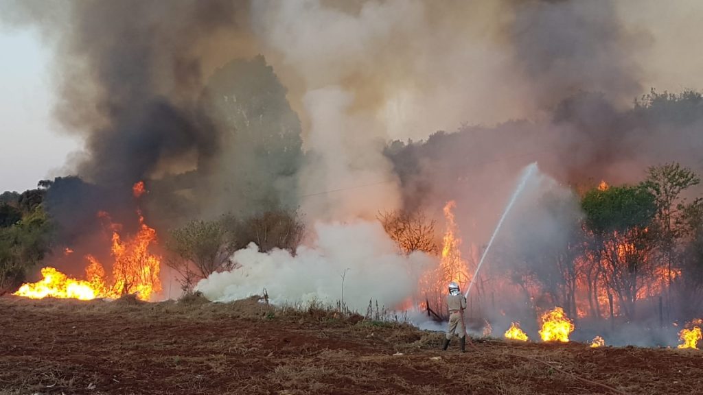 Grande área de vegetação pega fogo no Conjunto Riviera